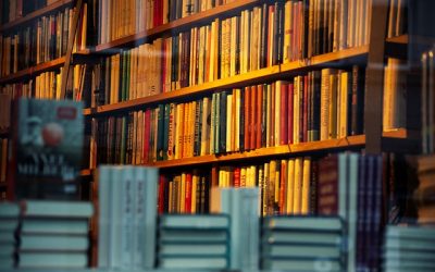 Les librairies encore peu emballees par le livre d&rsquo;occasion